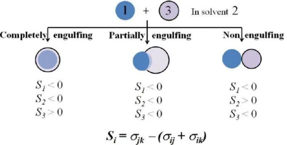 Figure 3.3 Equilibrium configurations for two immiscible liquid droplets 1 and 3 in solvent 2