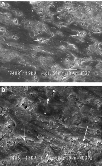 FIG. 9. Scanning electron microscopic (SEM) views of treated and graphite-stained dentin by diode laser (980 nm) at (a) 1.6 W and (b) 2 W