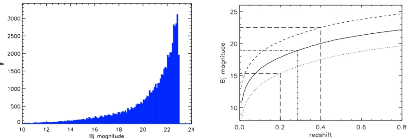 Fig. 6. (left) Distribution of the b J apparent magnitudes in the Vega system (3900A–5400 Å passband centered at 4604 Å with a zero point of F(b J , Vega) = 3.95 × 10 23 W m − 2 Hz − 1 ) of the galaxies located in a region of 2.5 ◦ on a side centered close
