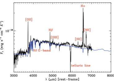 Fig. 5. Fit of the ESO Very Large Telescope (VLT) spectrum obtained with FORS1 (Letawe et al