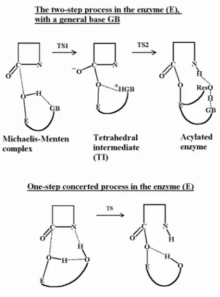 Figure 1: Schematic presentation of the two-step and one-step hypotheses for the acylation  mechanism.