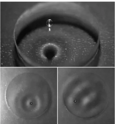 FIG. 1. (top) A drop of silicone oil bounces periodically at the surface of a small pool (diameter 1.5 mm) of the same liquid which is vertically vibrated at 80 Hz