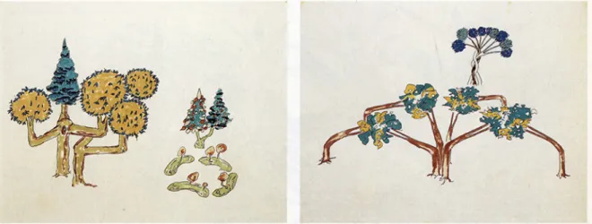 Figure 4. Gordon Matta-Clark, Tree forms, 1971