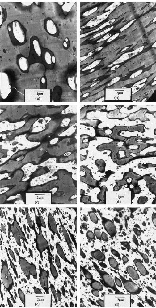 Fig. 2. TEM micrographs for PS/SBR/PE blends of different PE/PS composition (wt%): (a) 20/80; (b) 30/70; (c)  40/60; (d) 50/50; (e) 70/30; and (f) 80/20