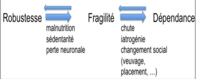 Figure 1. Evolution des stades de fragilité et facteurs influençant le passage  d’un stade à l’autre.