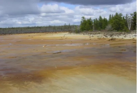 Figure 3.2. Oxidized sulfide tailings on the surface of the site (1994) 