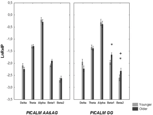 Fig. 3. Log-transformed relative power (mean and standard error) of the EEG bands in the nondemented younger and older subjects with the PICALM GG and PICALM AG and GG genotypes