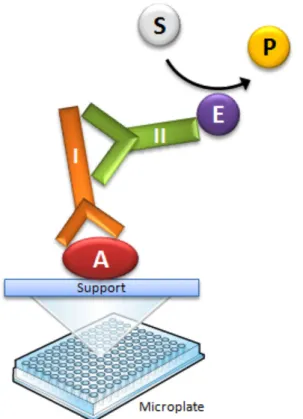 Fig. 1 Generalized ELISA scheme for detecting a target antigen (A = target antigen, I = Primary  160 