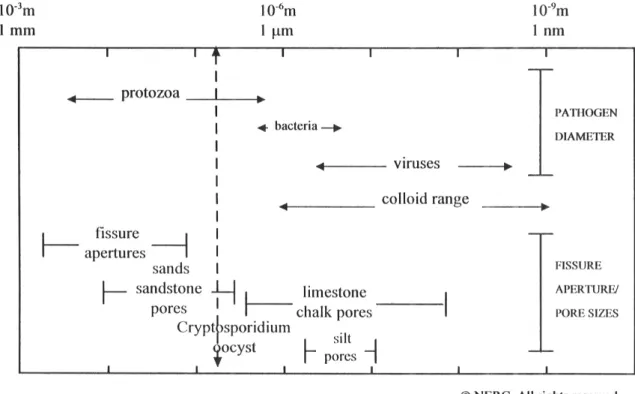 Fig. 14: Diameters of microorganisms and colloids compared to pore sizes and fissure apertures in aquifers  (West and others 1998)
