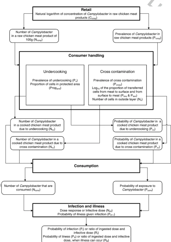 Fig. 2. Overview of the quantitative risk assessment model.