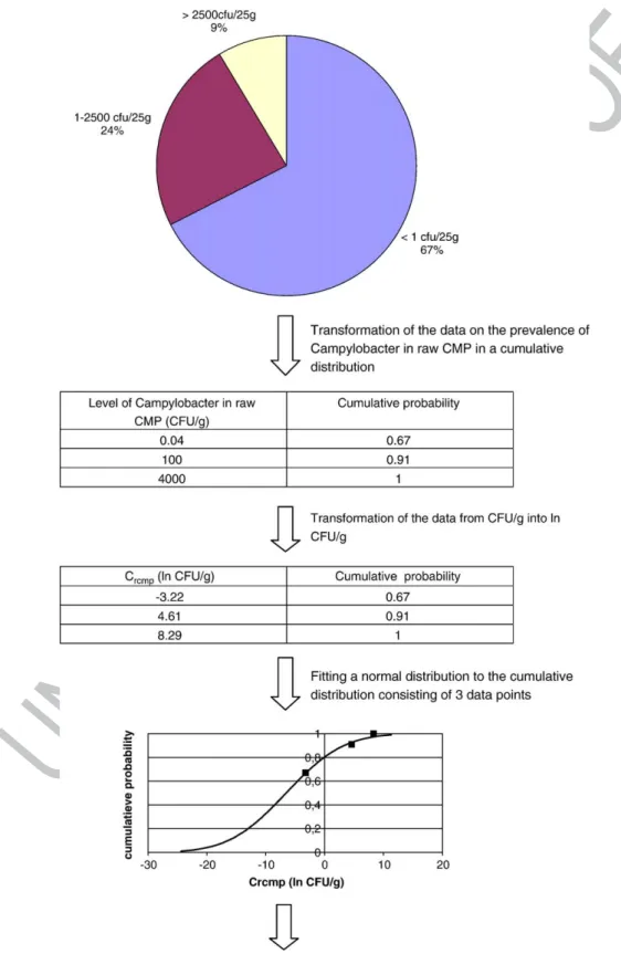 Fig. 3. Overview of the followed methodology to determine the mean and standard deviation of the natural logarithm of the concentration of Campylobacter in raw chicken meat preparations.