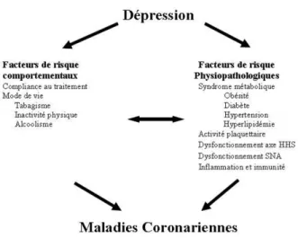 Figure 1 : Mécanismes comportementaux et physiopathologiques entre la dépression et les maladies coronariennes