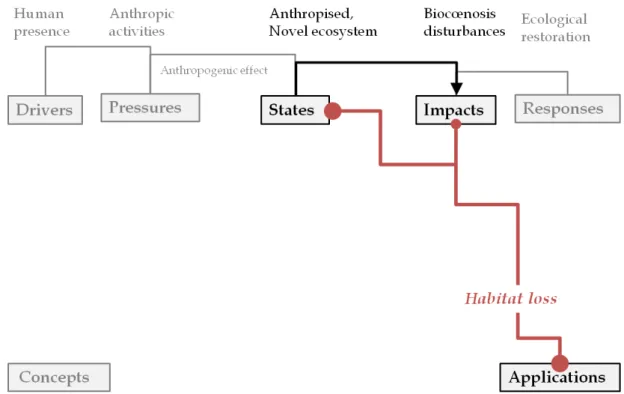 Figure 2.1 – Location of the habitat loss chapter (red theme) in the thesis mind map.