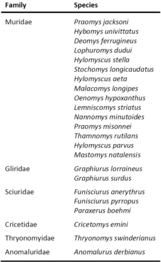 Table 2.1 – Species captured in the Masako Forest