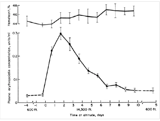 Figure 15 : Évolution temporelle du taux d’hématocrite (%) et d’EPO plasmatique  (mUI/ml) en haute altitude