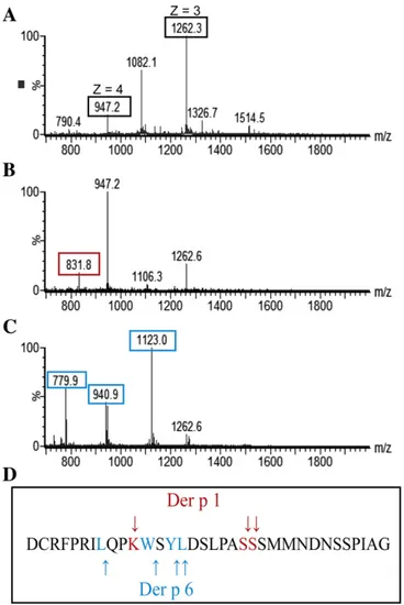 Fig. 4C and D shows that Der p 1 and Der p 6 are co-localised in the hindgut (Hg, orange ﬂ uorescence).