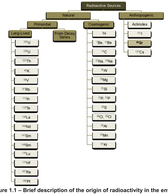 Figure 1.1 – Brief description of the origin of radioactivity in the environment 