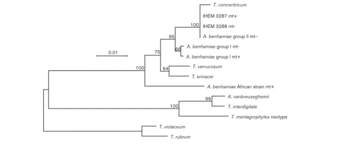 Fig. 3. Phylogenetic tree from complete Arthroderma and Trichophyton aligned ITS sequences of 735 sites, based on the FastME algorithm (Desper &amp; Gascuel, 2002)