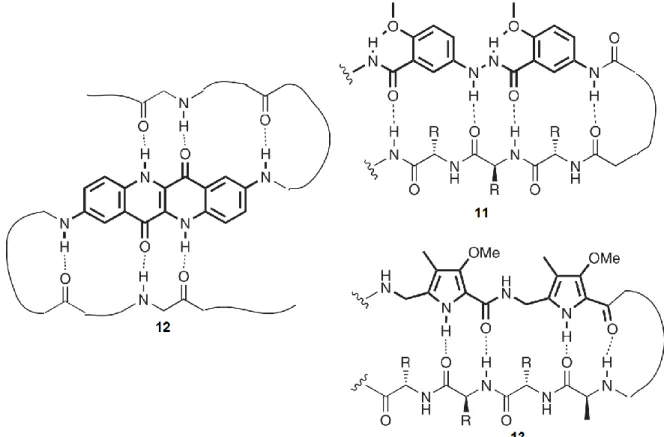 Figure 11. Exemples de structures moléculaires mimant une conformation en feuillet-β. 