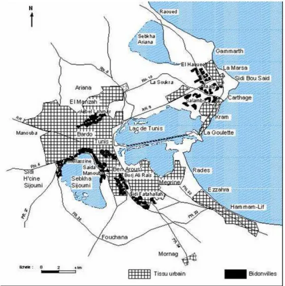 Figure  2  :  Les  « principaux  Bidonvilles »  du  Grand Tunis 