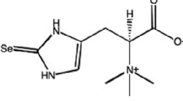 Figure 5 : Structure chimique de la sélénonéine. 