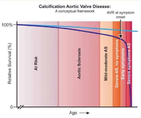 Figure 6 : Cadre conceptuel de l’histoire naturelle de la sténose aortique. 