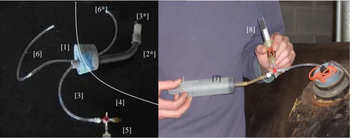 Figure 4 :  A gauche, détail du bouchon en caoutchouc disposé au niveau de la canule :  bouchon en caoutchouc [1], tube en PVC rigide [2] dans lequel passe le tube  d'échantillonnage [3], raccordé à son extrémité à un robinet à trois voies [4] 