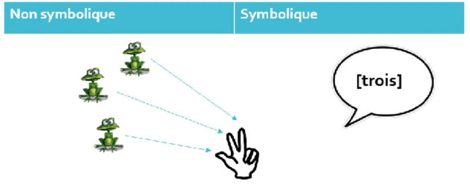 Figure 5: Double représentation symbolique et non symbolique du symbole numérique digital