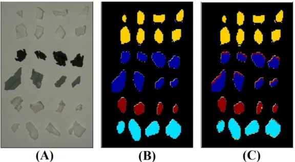 Figure  ‎ 1.7- (A) Digital image of waste materials from PVC window frame, (B)  prediction image obtained applying PLS-DA using all wavelengths, and (C) prediction  image obtained applying PLS-DA using 11 wavelengths