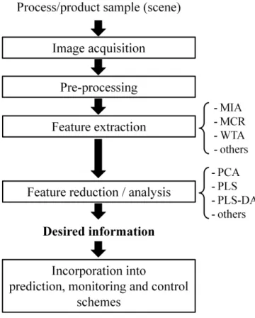 Figure  ‎ 2.2- A procedure for quality control of a given process/product using  hyperspectral images (adapted from [91])
