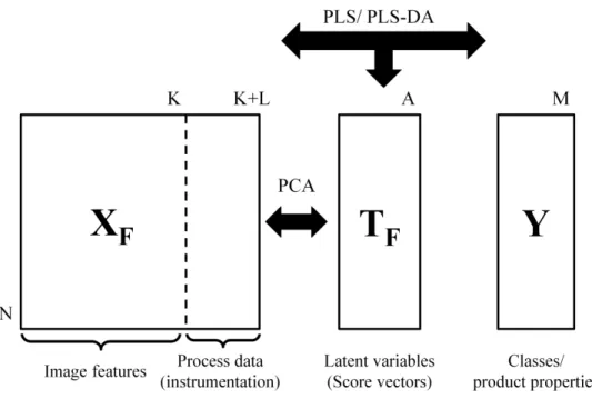 Figure  ‎ 2.3- Application of multivariate statistical methods for feature  reduction/analysis (adapted from [91])