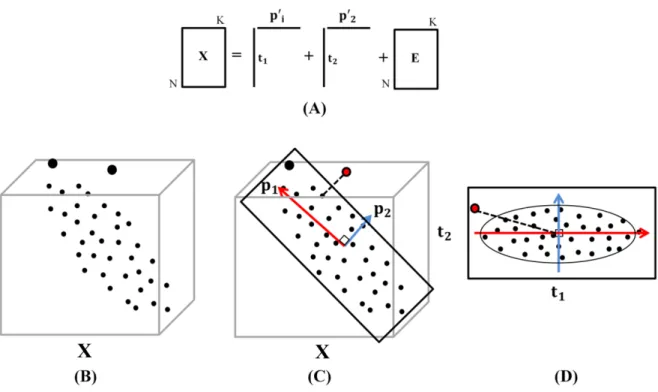 Figure  ‎ 2.5- Geometrical interpretation of PCA. A) A matrix X is modeled by  principal component analysis