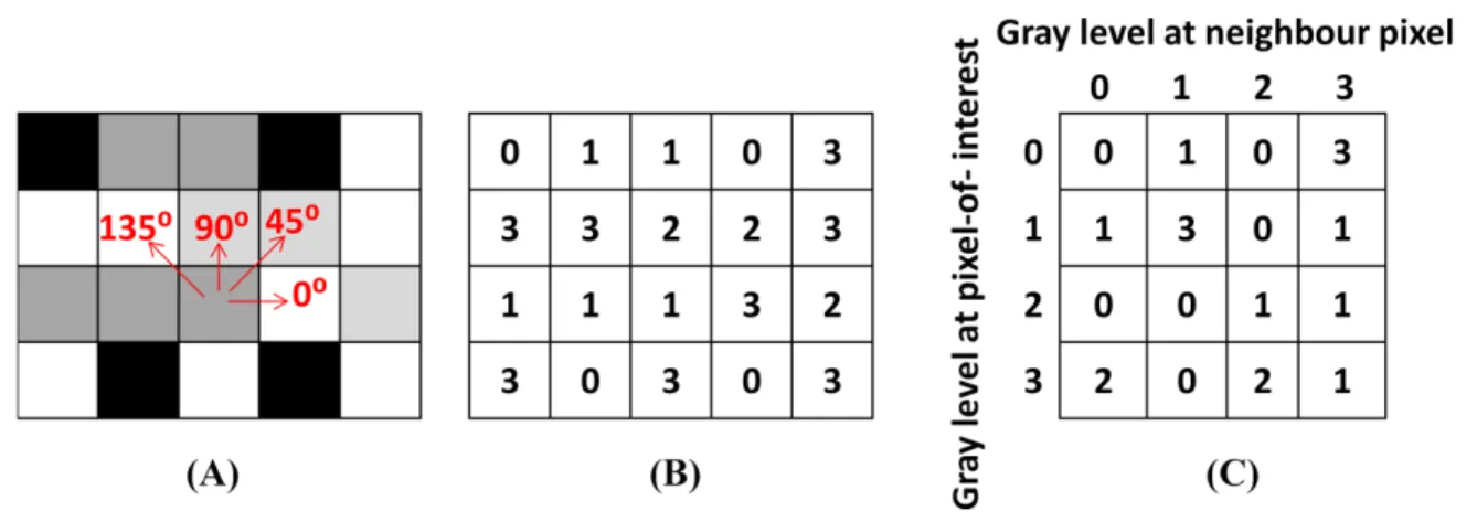 Figure  ‎ 2.10 depicts the GLCM algorithm for a 4×5 pixel image with four gray-level values  (0-3)