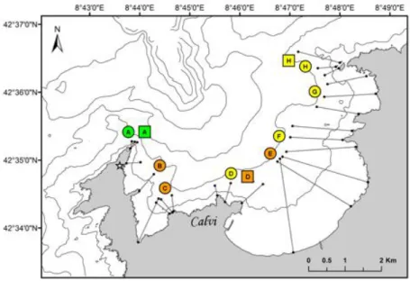 Figure 3. Carte des 8  secteurs prospectés dans  la Baie de Calvi (Corse, France) afin  de tester et de valider l’indice LIMA,  indice  paysager :  Punta  Revellata  (A),  STARESO  (B),  Bibliothèque  (C),  Punta  St  François  (D),  plage  de  Calvi  (E),