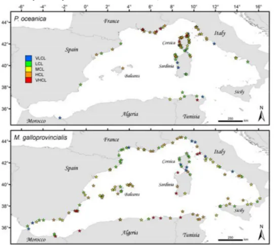 Figure 4. Cartes de la contamination en 7 (Ag, As, Cu, Cd, Hg, Ni, Pb) ou 4 (Cd, Hg, Ni, Pb) éléments traces en 82 (carte du  haut)  et 123 (carte du bas) sites localisés le long des côtes de 6 pays de la  Méditerranée occidentale,  exprimée  en tant que  