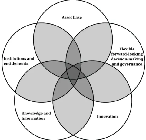Figure   2.4.    The   relationships   among   characteristics   of   adaptive   capacity   at   the    local   level   