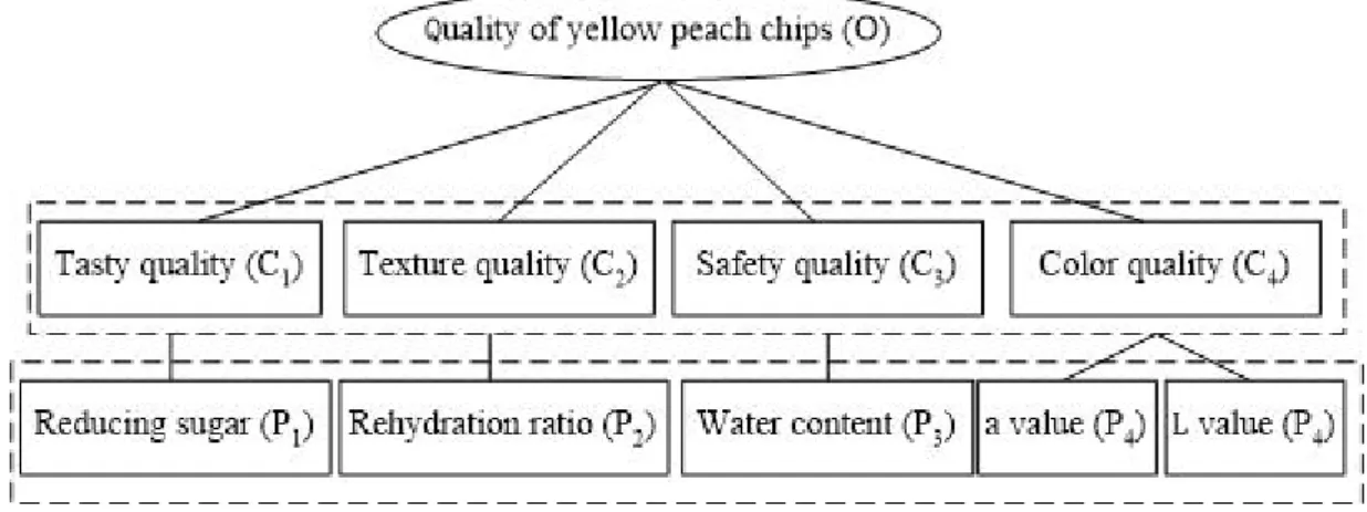Figure 4 Hierarchical structure of characteristic evaluation indicators analyzed by AHP for yellow peach chips prepared by EPD