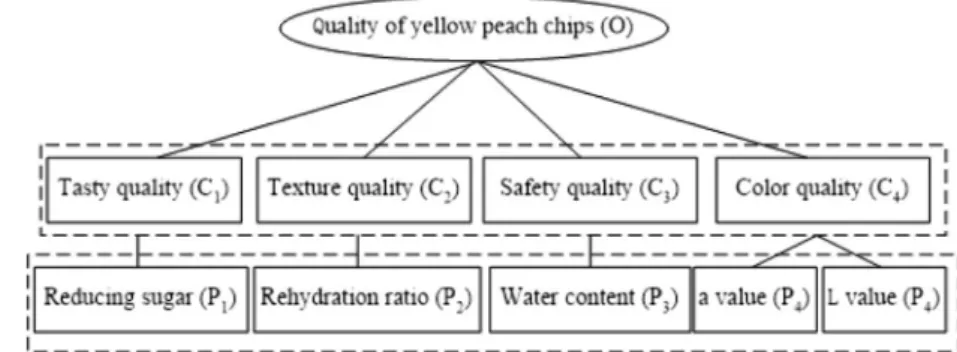 Fig. 1 Hierarchical structure of core indexes analyzed by AHP for yellow peach chips prepared by EPD