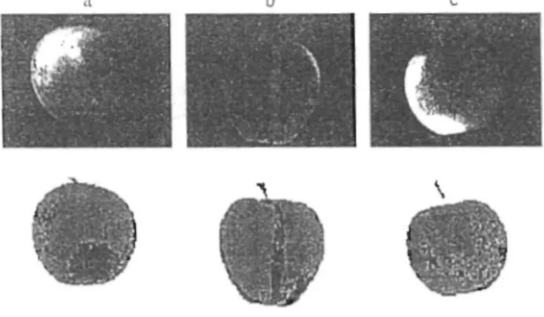 Figure 1.   Segmentation  results  :  above green channel of the original   images  (with enhanced contrast for  printing purpose); below segmentation results