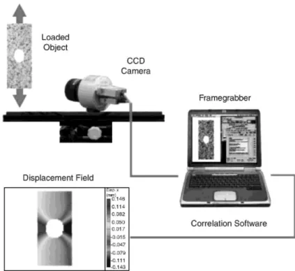 Fig. 1. Working principle of the DIC system. 