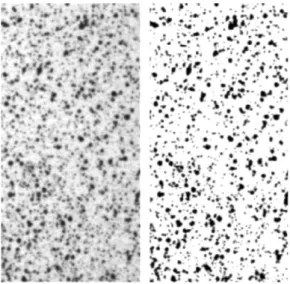 Fig. 3. Transformation of grey value image into binary image. 