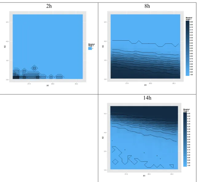 Figure  5  –  Stage  1:  conditional  probabilities  of  success  by  time  point  defining  the  Design Space 