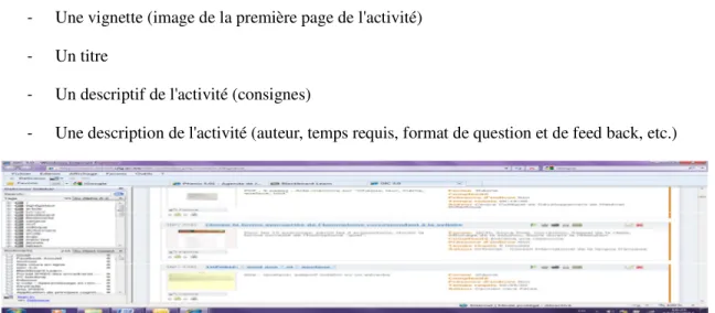 Figure 16 - Fiche d'activité dans la GIC 