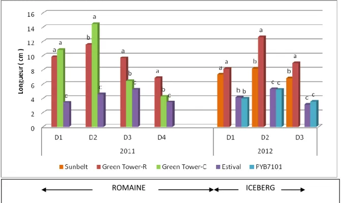 Figure 9. Effet de la date de transplantation sur la longueur de la tige (cm) des variétés  de laitue pour les saisons 2011 et 2012 
