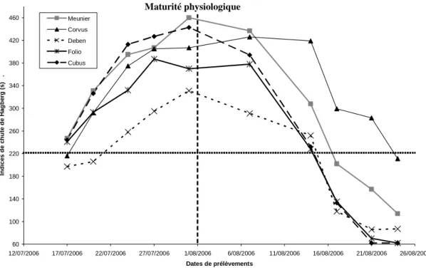 Figure 3: Evolution de l'indice de chute de Hagberg au cours du temps 