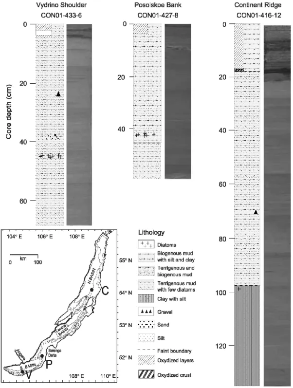 Fig.  1.  Lithological  description  of  short  cores  (CON-04  expedition)  based  on  macroscopic  and  smear-slide  observations  (modified  from  Vologina  et  al.,  2003;  Vologina  and  Sturm,  unpublished  data)