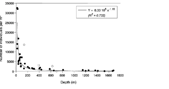 Fig. 7. Bathymetric distribution of density of Oligochaeta (from Martin et al., 1999; solid line—power decay curve  fit of 1999 data)