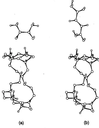Figure 6.   Biprotonated complex with the diacid in the &#34;up&#34; position: (a) C0 and (b) C2f