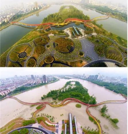 Figure 25 : Le parc Yanweizhou à Jinhua,  en Chine © Agence Turenscape, 2017