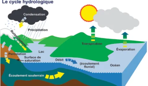 Fig. 2: Les eaux souterraines dans le cycle hydrologique (d’après Environnement et Changement Climatique - Canada)